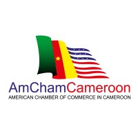 amcham_cameroon_logo